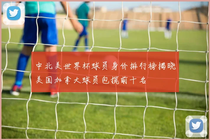 中北美世界杯球员身价排行榜揭晓美国加拿大球员包揽前十名